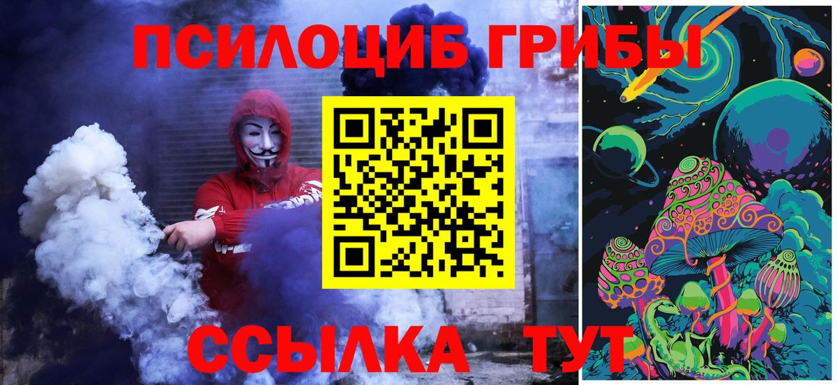 Псилоцибиновые грибы Psilocybe Новосибирск